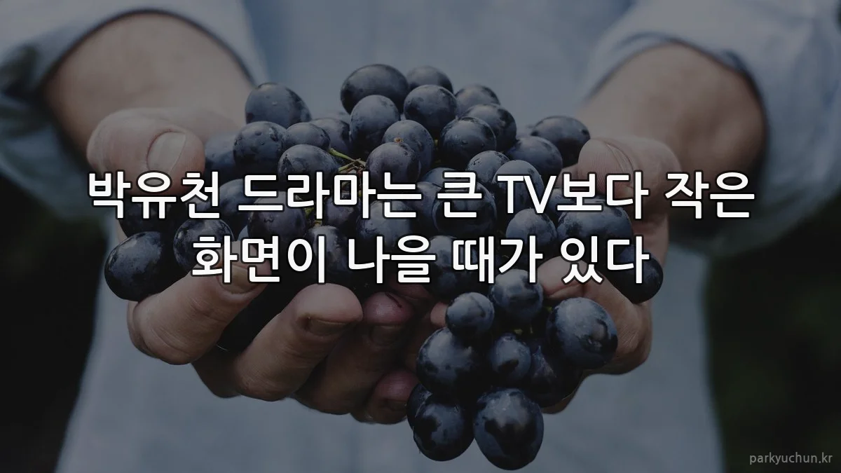 박유천 드라마는 큰 TV보다 작은 화면이 나을 때가 있다