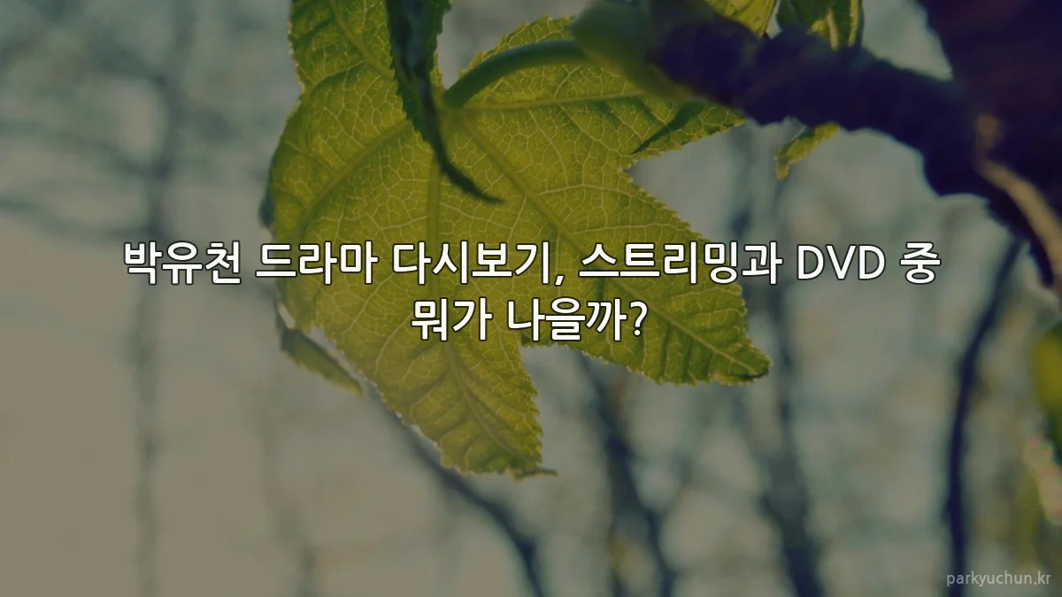 박유천 드라마 다시보기, 스트리밍과 DVD 중 뭐가 나을까?