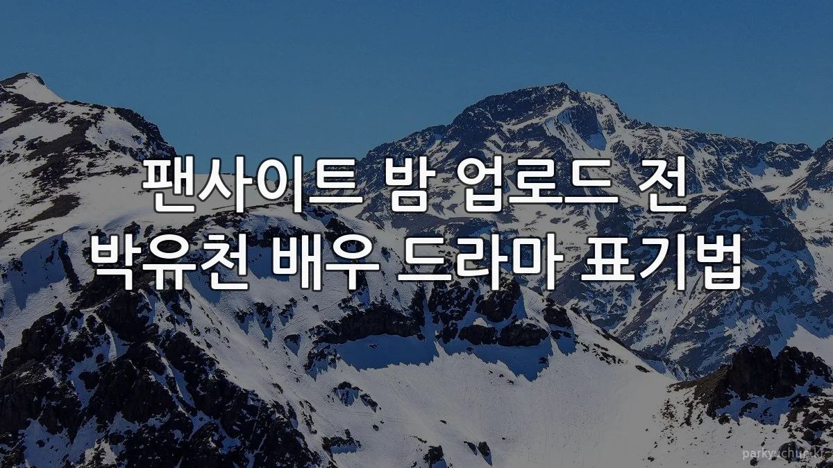 팬사이트 밤 업로드 전 박유천 배우 드라마 표기법