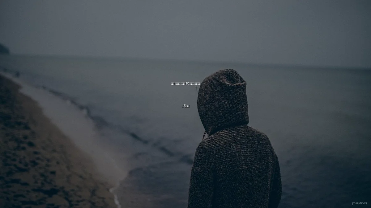 알고 나면 더 즐거운 PC오디오 숨겨진 팁 5가지