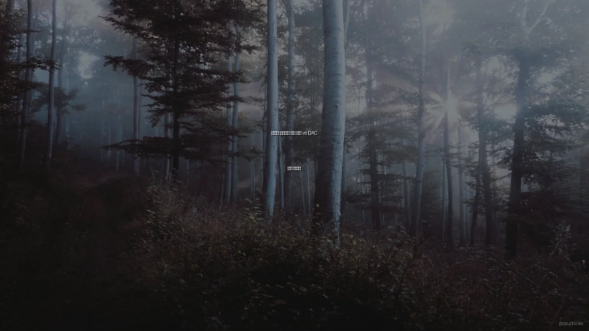 오디오 애호가를 위한 앰프 vs DAC 선택 가이드