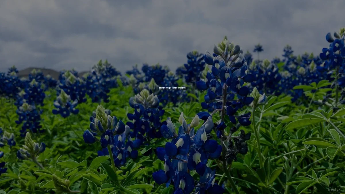 초보자를 위한 PC오디오 입문 가이드