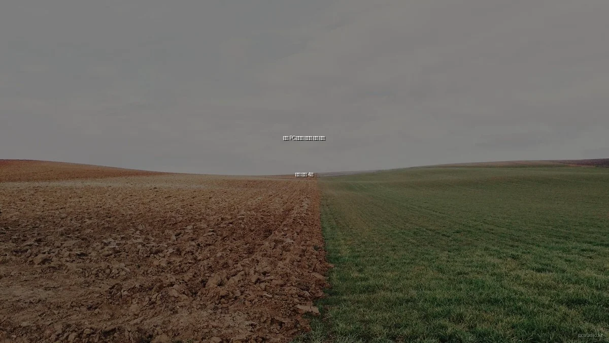 최신 PC오디오 스피커 비교 분석: 인기 제품 4선