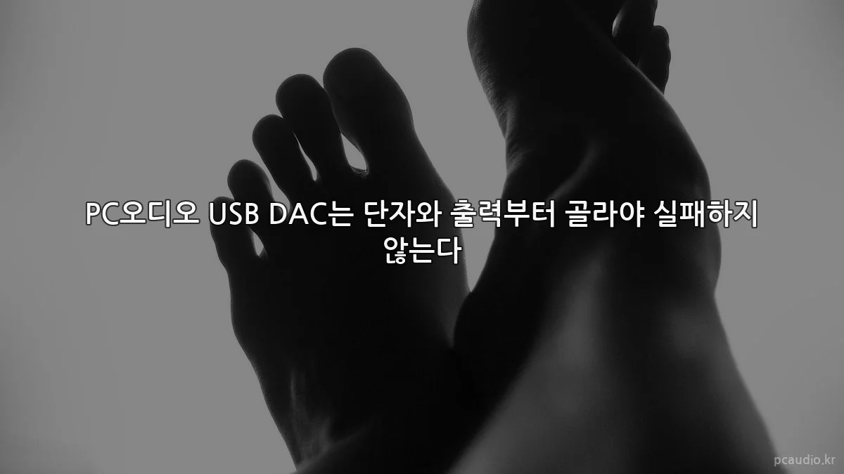 PC오디오 USB DAC는 단자와 출력부터 골라야 실패하지 않는다