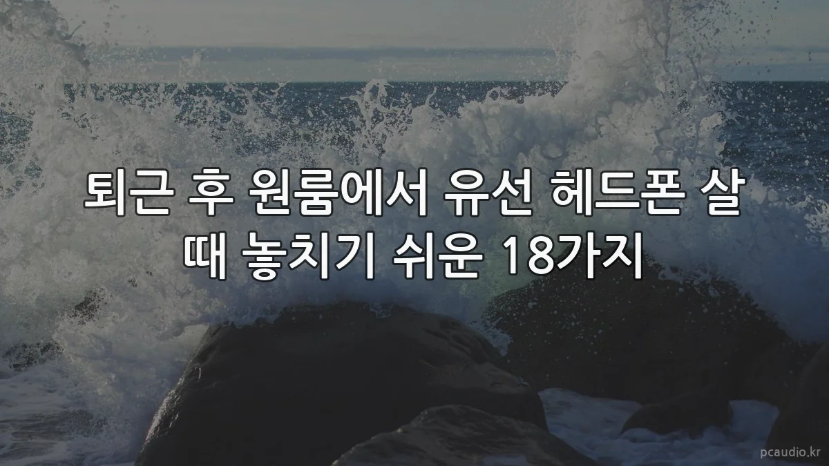 퇴근 후 원룸에서 유선 헤드폰 살 때 놓치기 쉬운 18가지