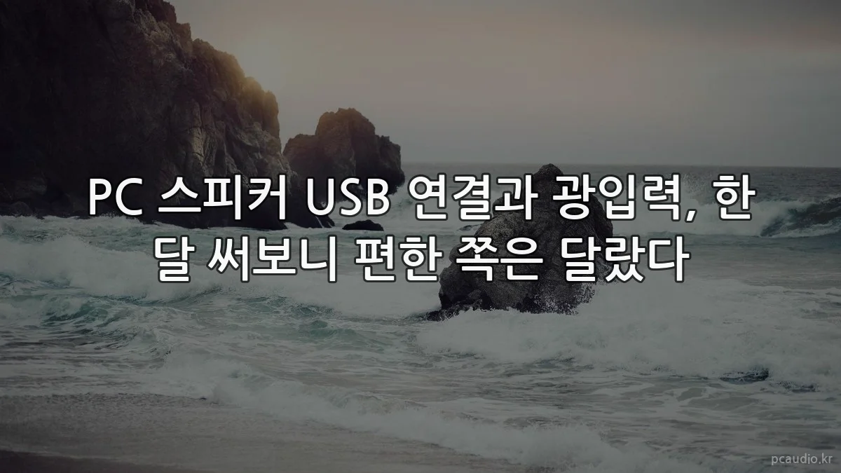 PC 스피커 USB 연결과 광입력, 한 달 써보니 편한 쪽은 달랐다