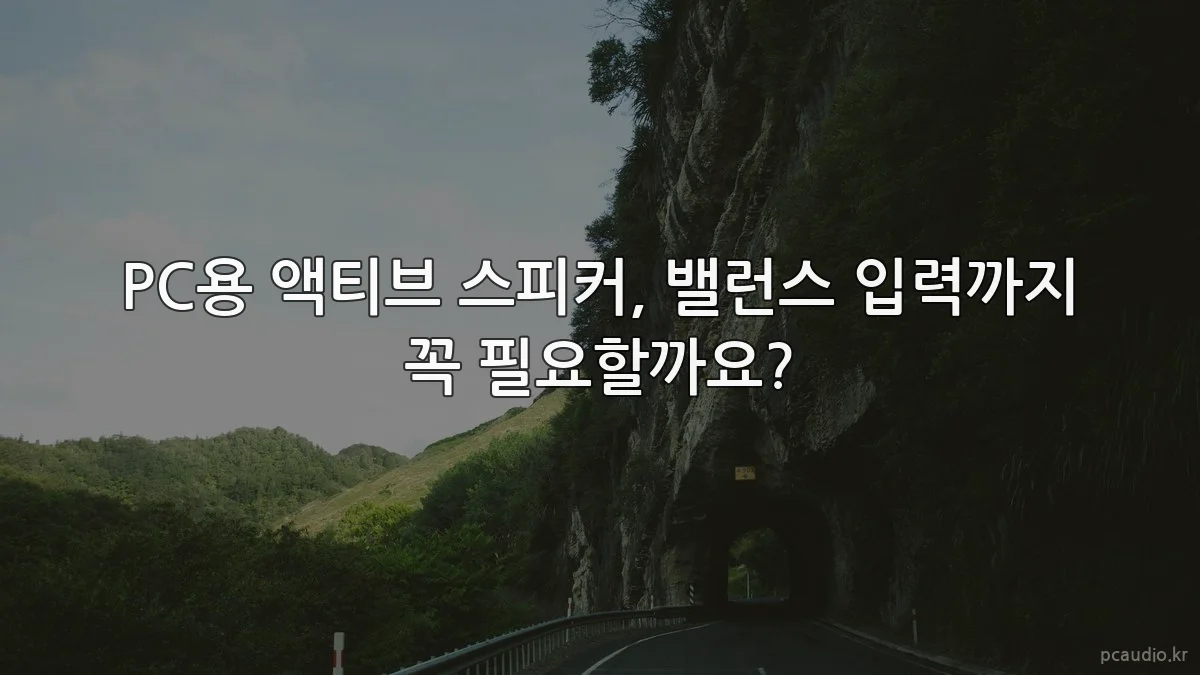 PC용 액티브 스피커, 밸런스 입력까지 꼭 필요할까요?