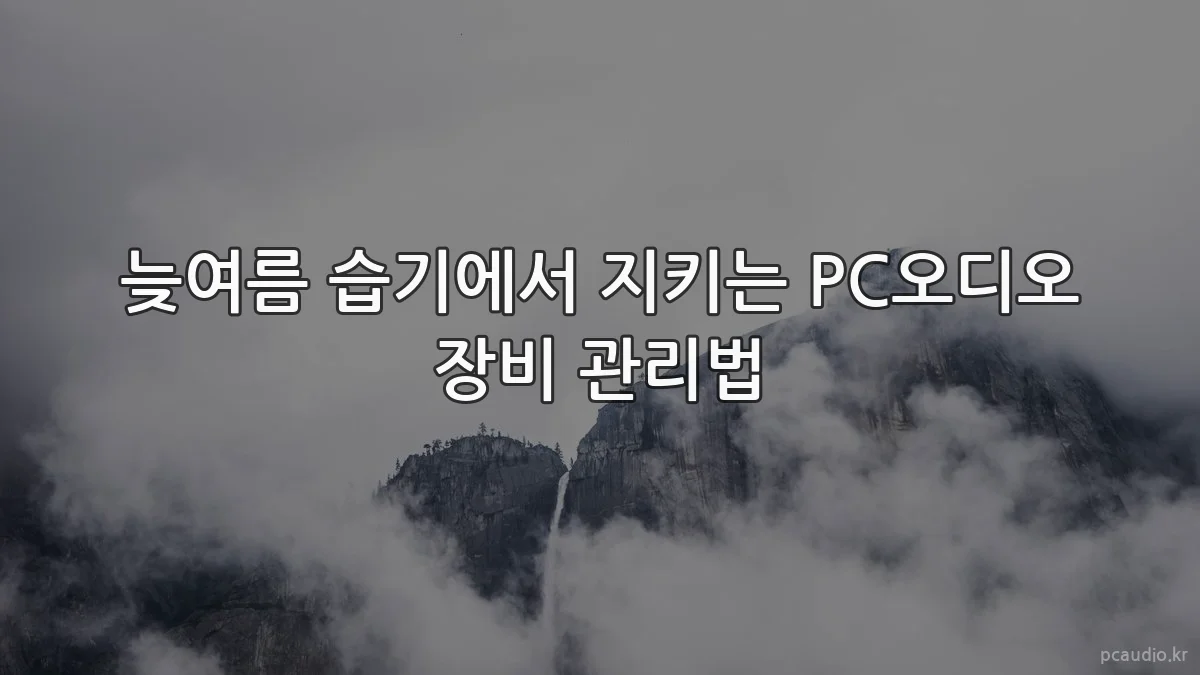 늦여름 습기에서 지키는 PC오디오 장비 관리법