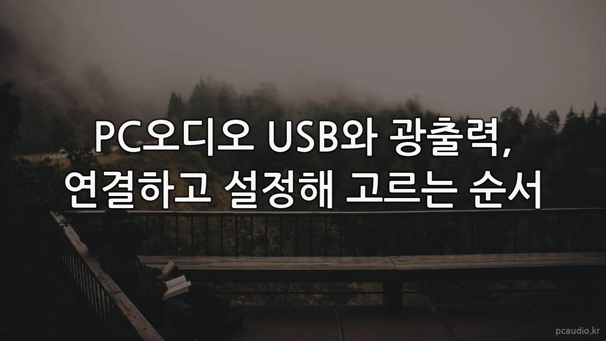 PC오디오 USB와 광출력, 연결하고 설정해 고르는 순서