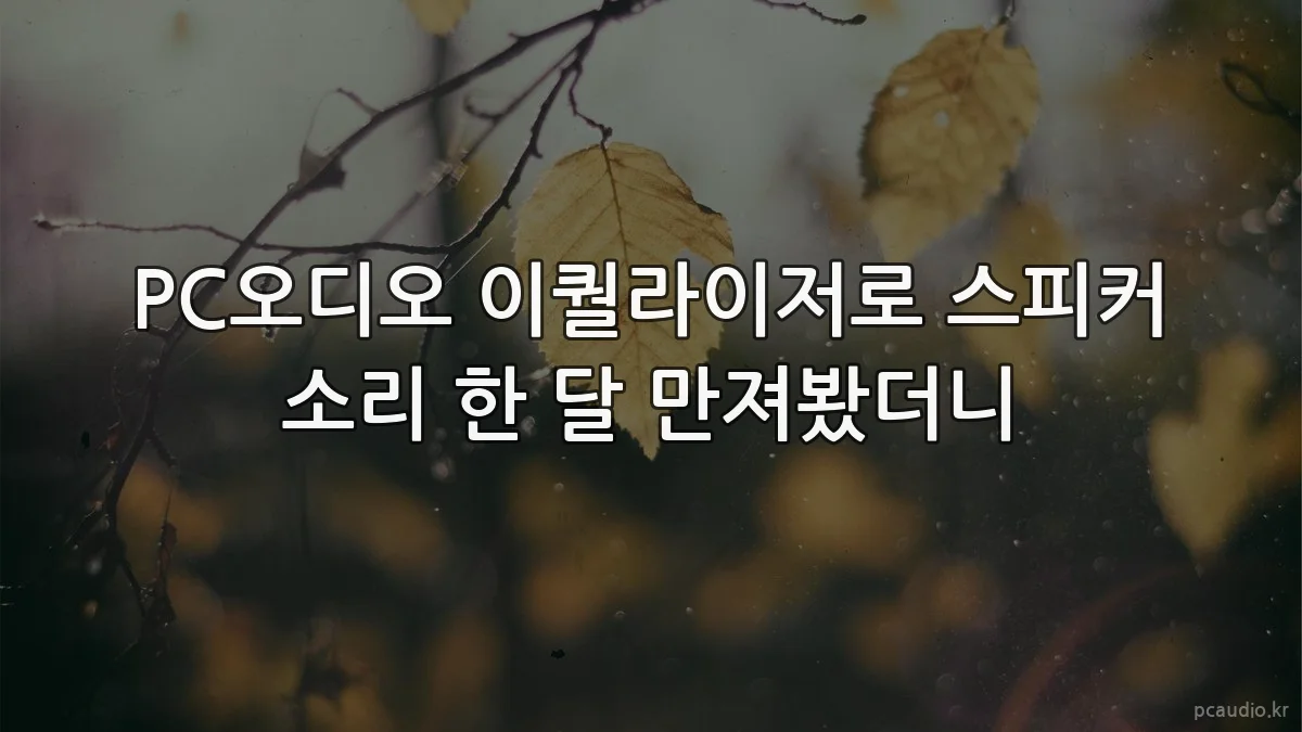 PC오디오 이퀄라이저로 스피커 소리 한 달 만져봤더니