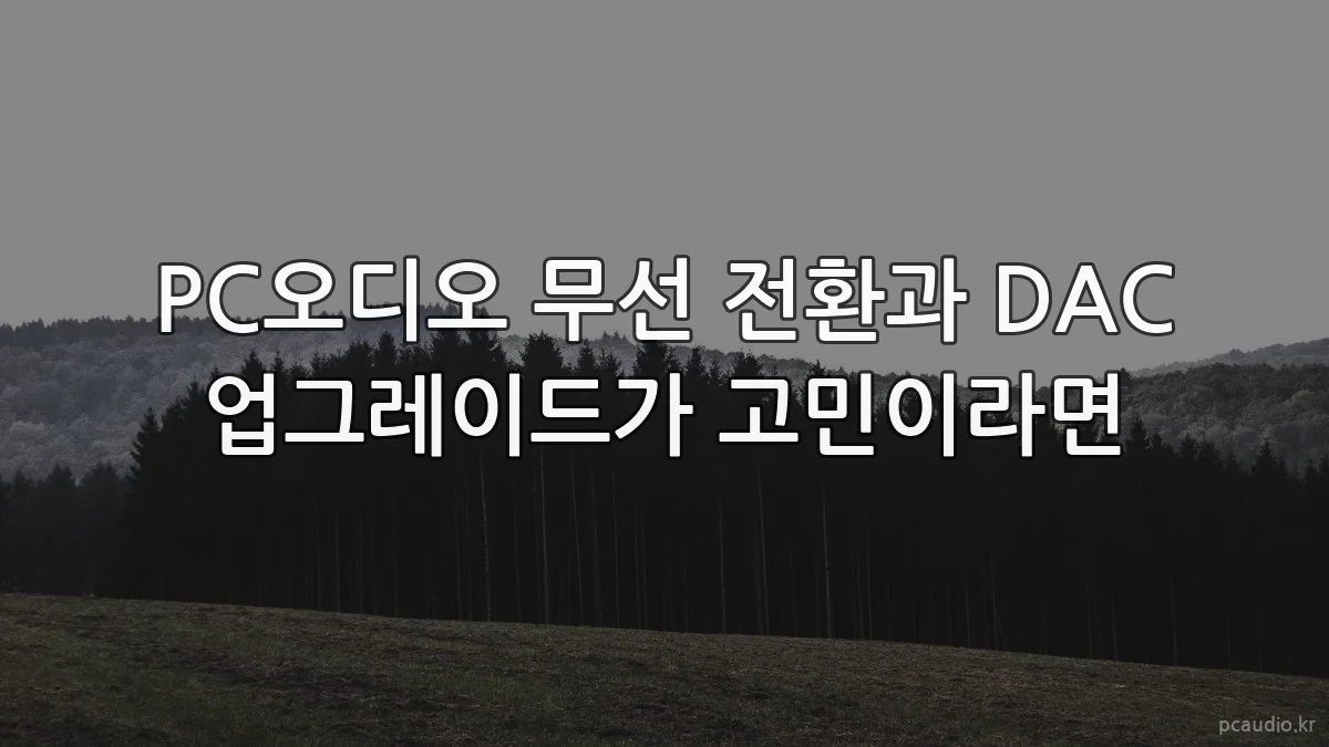PC오디오 무선 전환과 DAC 업그레이드가 고민이라면