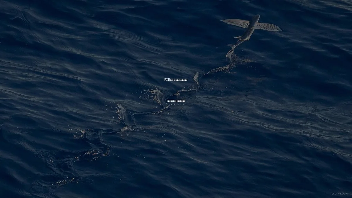 PCB 구매 전 필수 체크리스트: 성공적인 설계 위한 가이드