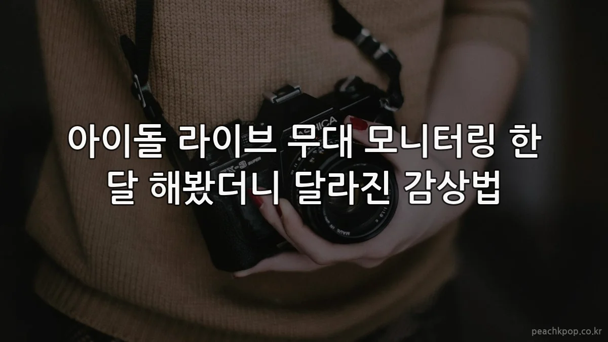 아이돌 라이브 무대 모니터링 한 달 해봤더니 달라진 감상법