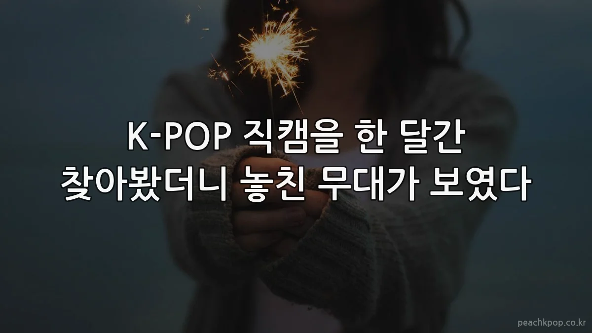 K-POP 직캠을 한 달간 찾아봤더니 놓친 무대가 보였다