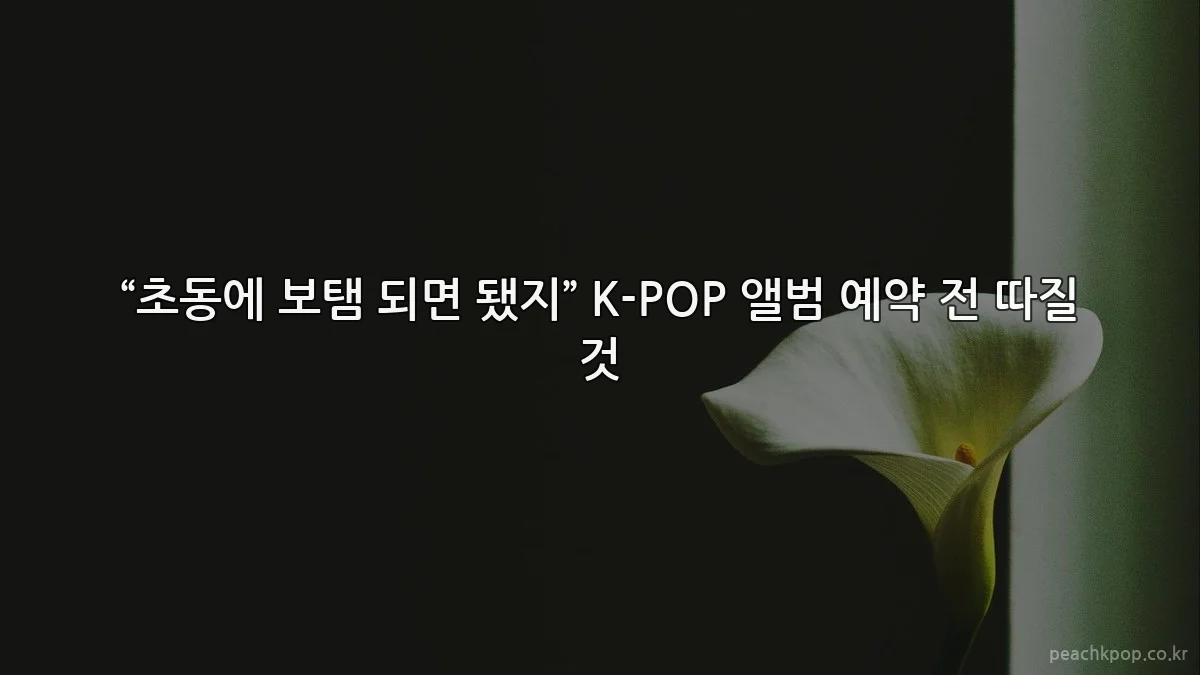 “초동에 보탬 되면 됐지” K-POP 앨범 예약 전 따질 것