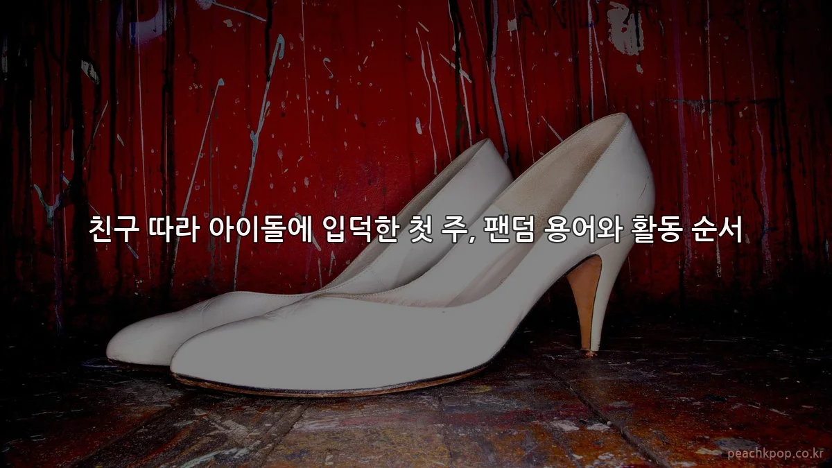친구 따라 아이돌에 입덕한 첫 주, 팬덤 용어와 활동 순서