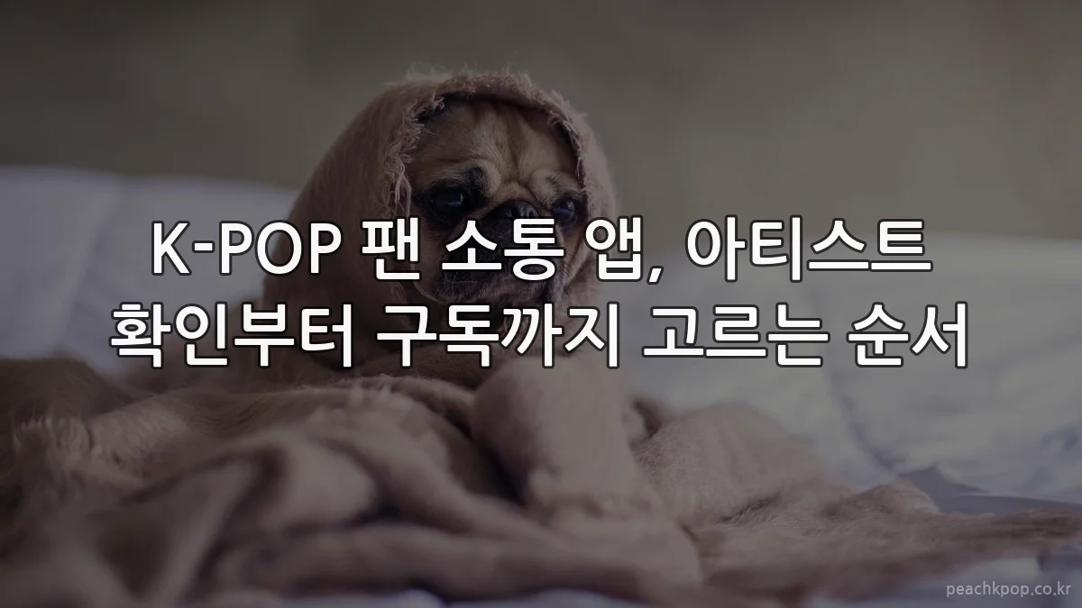 K-POP 팬 소통 앱, 아티스트 확인부터 구독까지 고르는 순서
