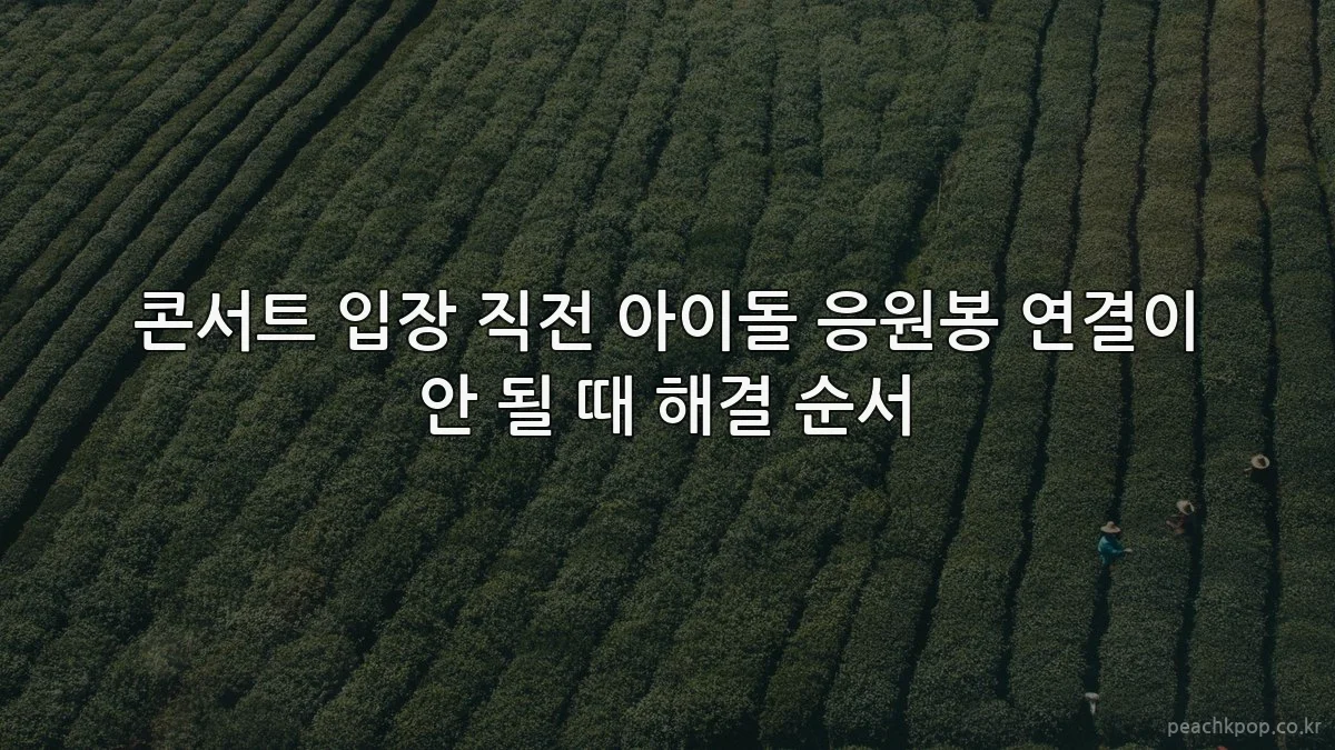 콘서트 입장 직전 아이돌 응원봉 연결이 안 될 때 해결 순서