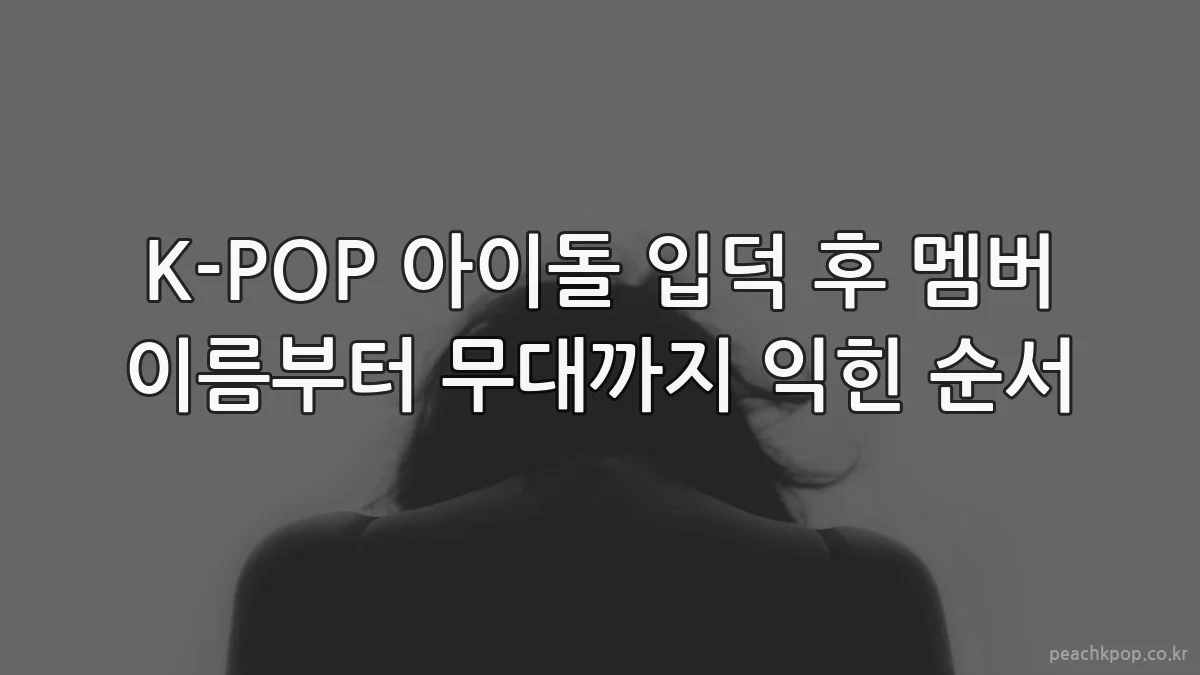 K-POP 아이돌 입덕 후 멤버 이름부터 무대까지 익힌 순서