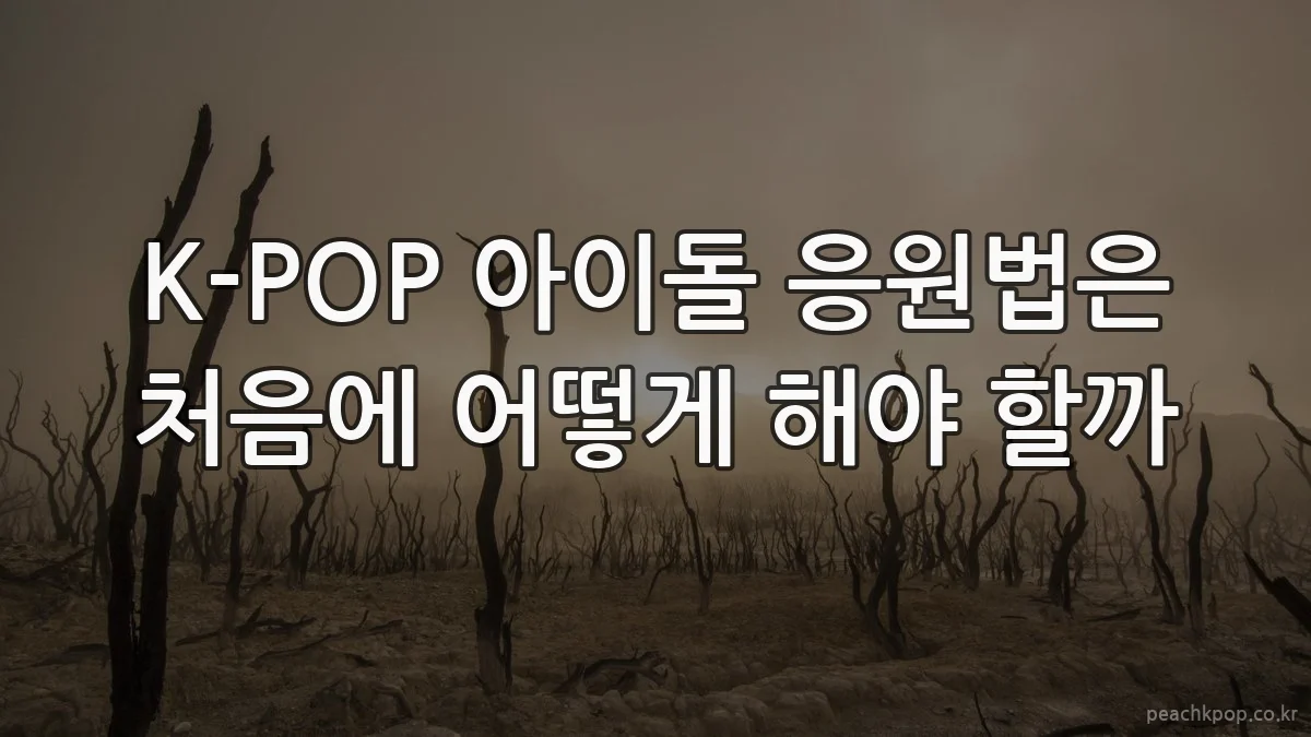 K-POP 아이돌 응원법은 처음에 어떻게 해야 할까