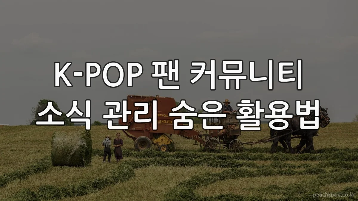 K-POP 팬 커뮤니티 소식 관리 숨은 활용법