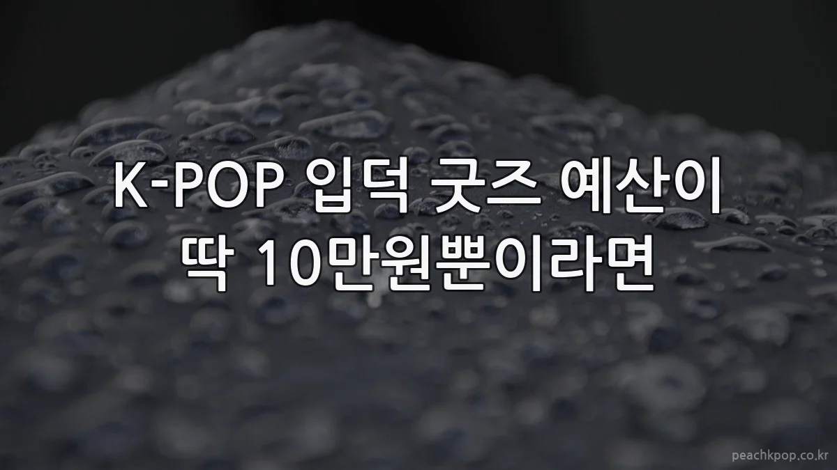 K-POP 입덕 굿즈 예산이 딱 10만원뿐이라면