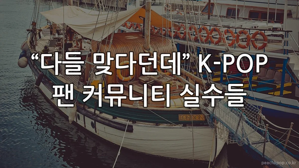 “다들 맞다던데” K-POP 팬 커뮤니티 실수들