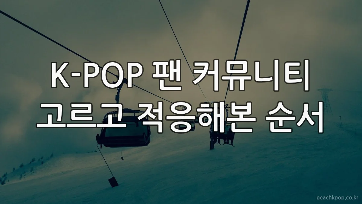 K-POP 팬 커뮤니티 고르고 적응해본 순서