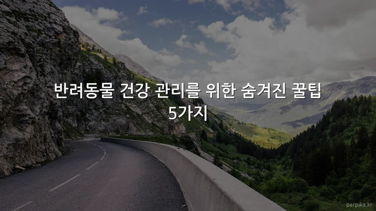 반려동물 건강 관리를 위한 숨겨진 꿀팁 5가지