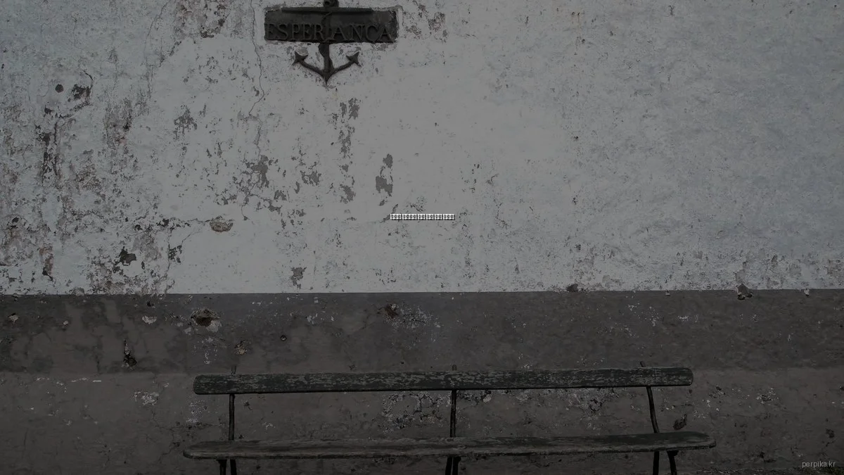 겨울철 반려동물 건강 관리 필수 지침서