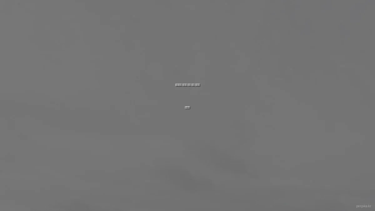 반려동물 건강을 위한 환경 최적화 가이드