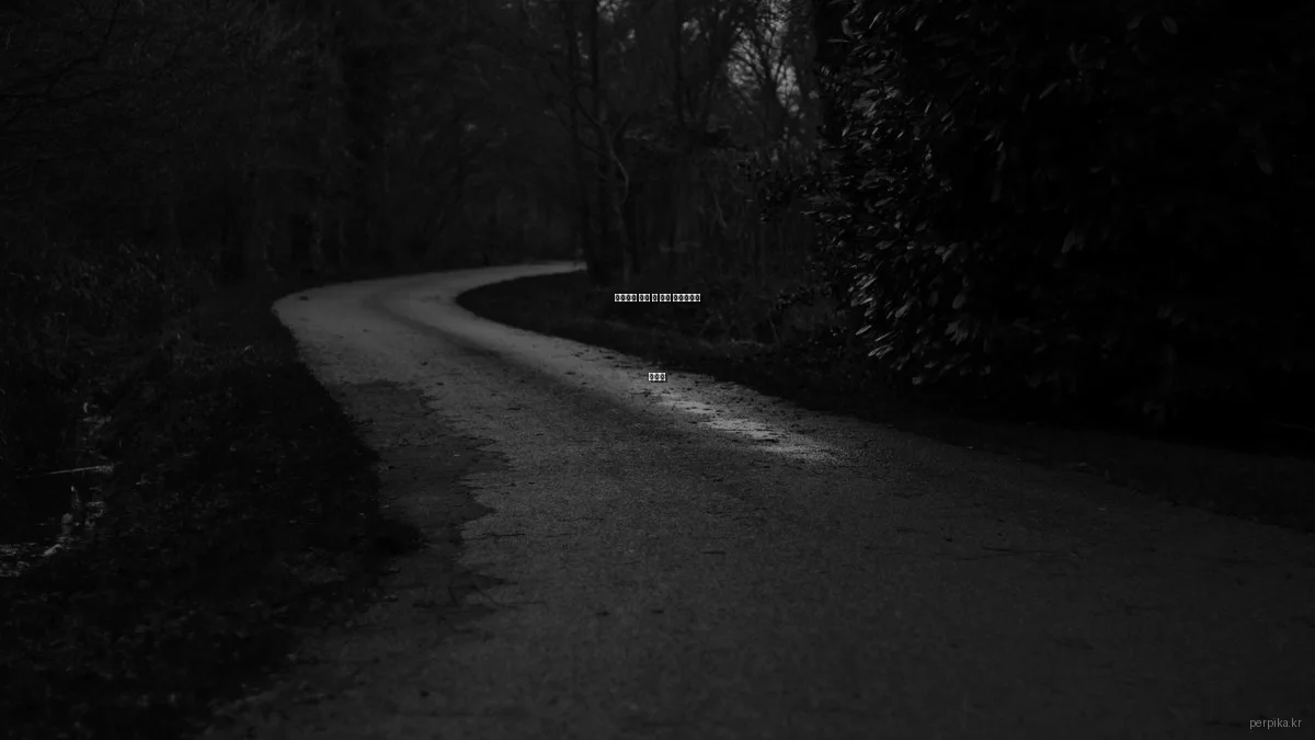 반려동물 입양 전 필수 체크리스트 가이드