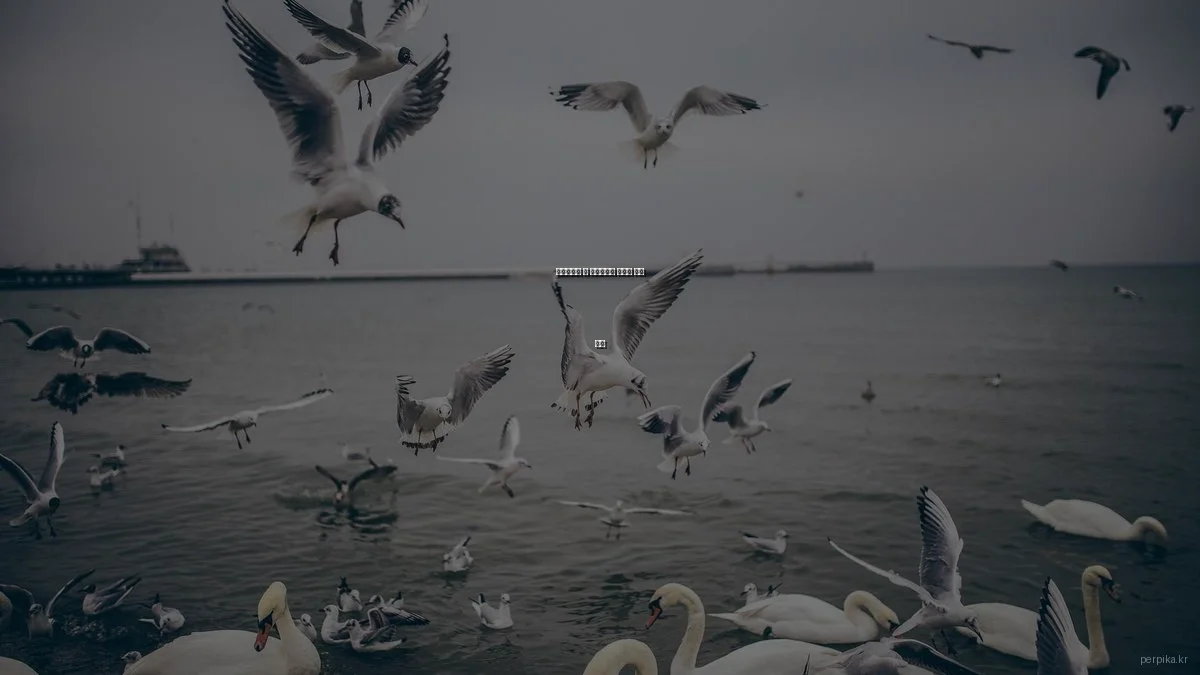 반려동물과 더 행복해지는 숨겨진 생활 꿀팁