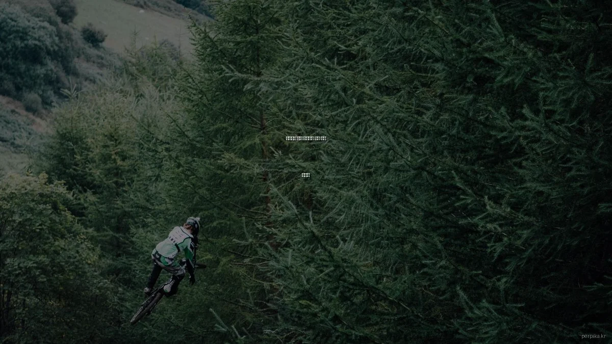 초보자를 위한 반려동물 건강 관리 가이드