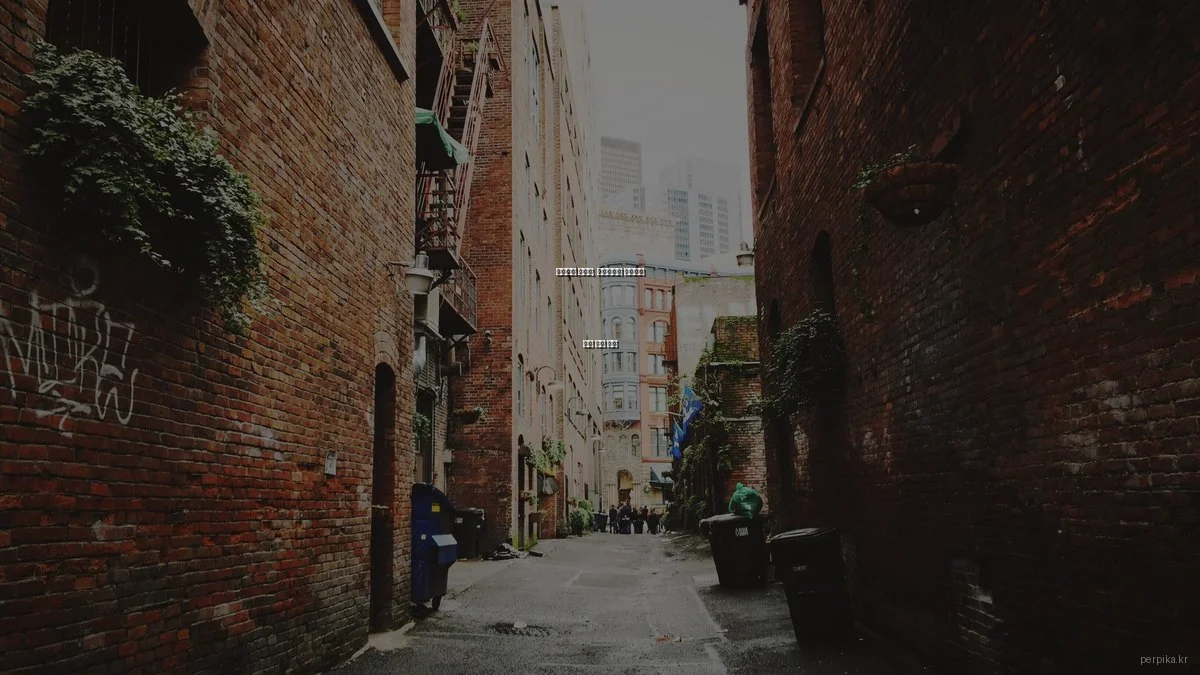 반려동물 카메라, 스마트하게 사용하는 법과 실제 후기