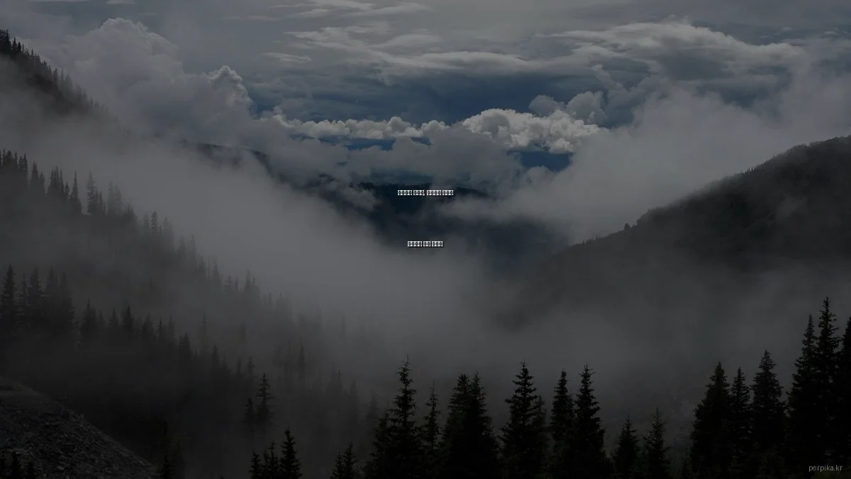 강아지와 고양이, 반려동물 양육의 차이점과 선택 가이드