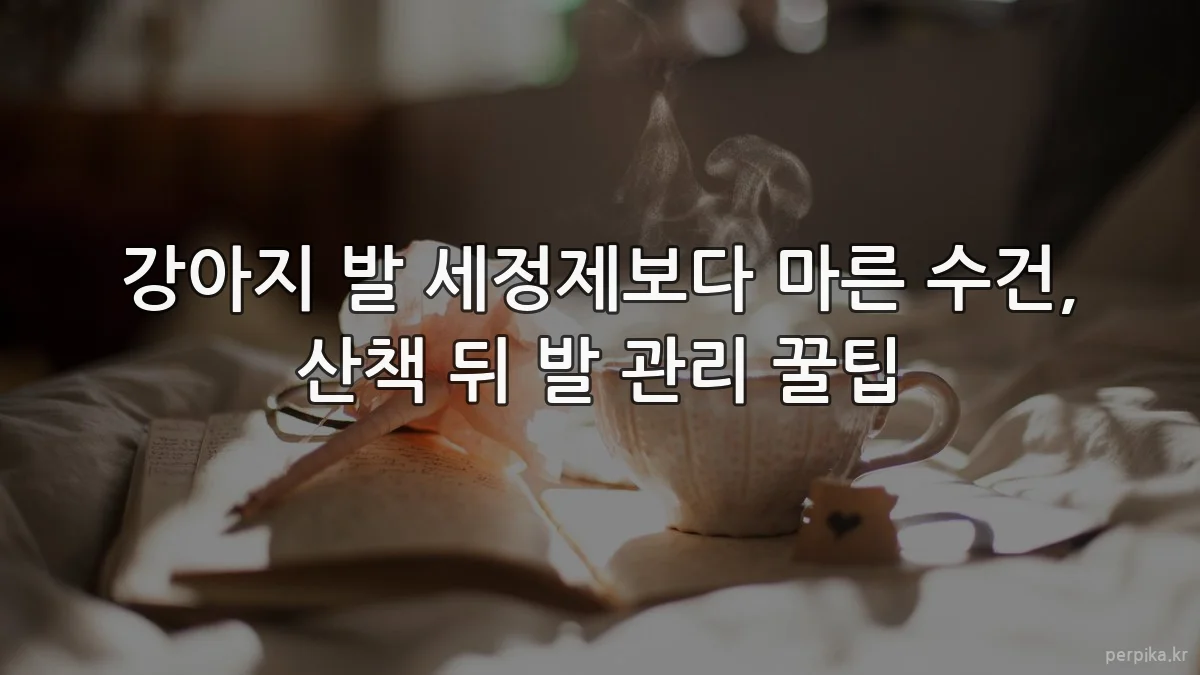 강아지 발 세정제보다 마른 수건, 산책 뒤 발 관리 꿀팁