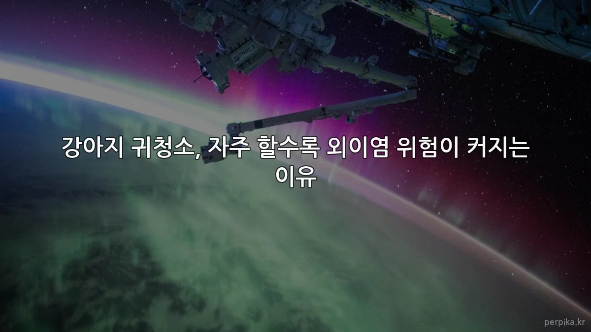 강아지 귀청소, 자주 할수록 외이염 위험이 커지는 이유