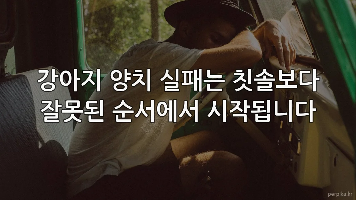 강아지 양치 실패는 칫솔보다 잘못된 순서에서 시작됩니다