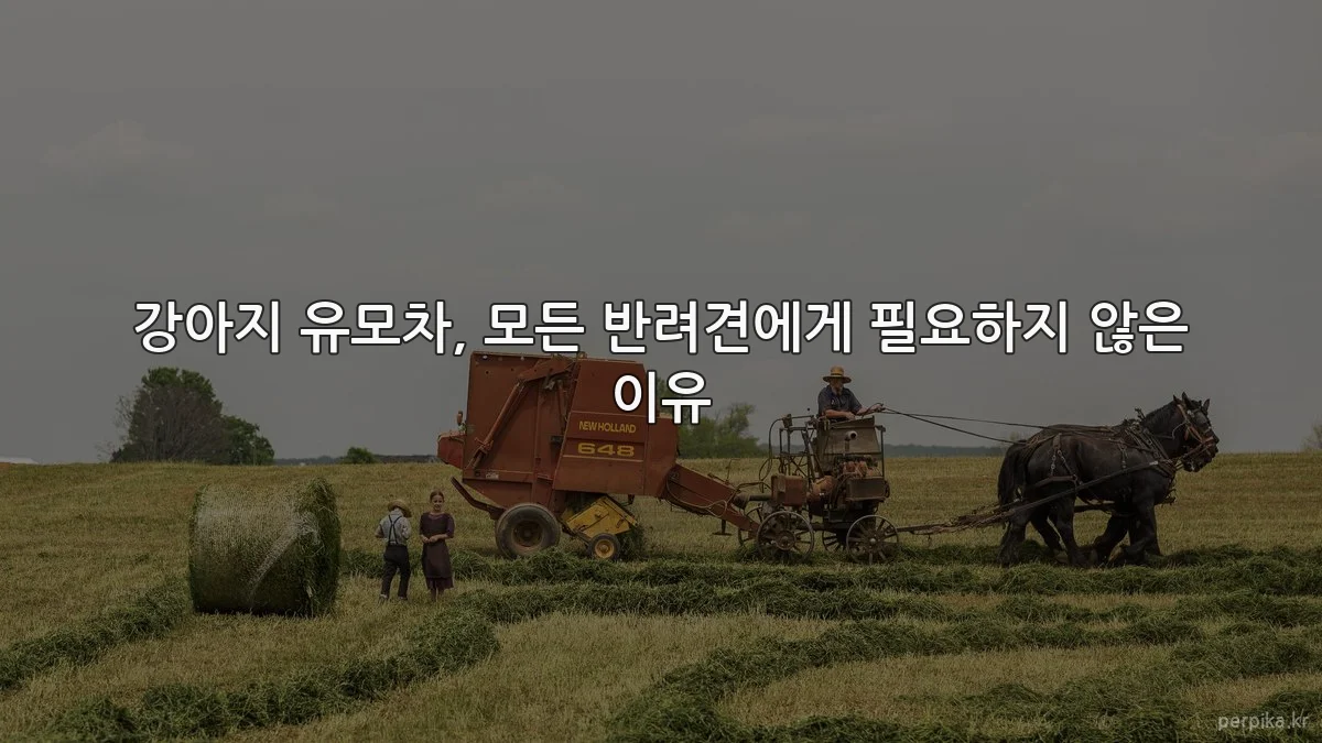 강아지 유모차, 모든 반려견에게 필요하지 않은 이유