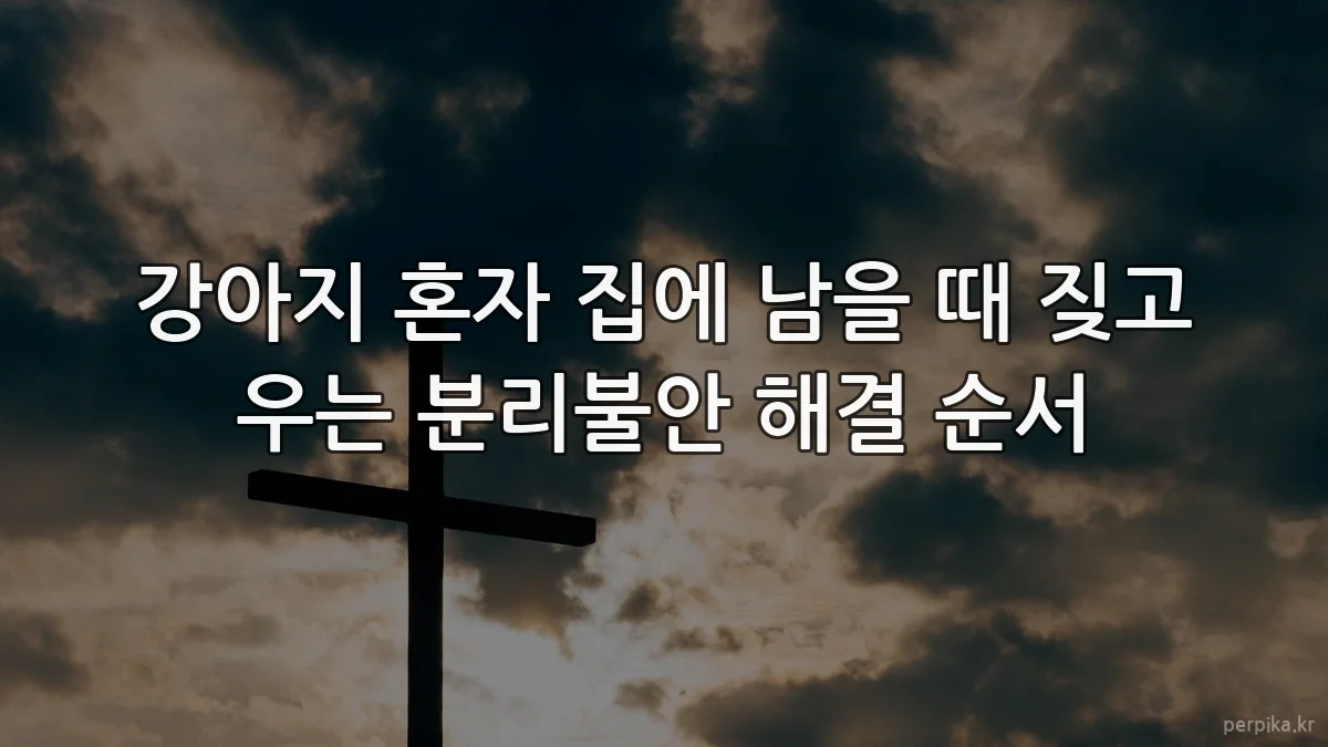 강아지 혼자 집에 남을 때 짖고 우는 분리불안 해결 순서