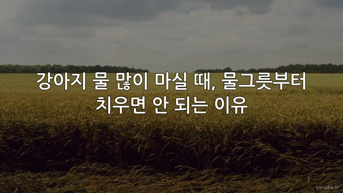 강아지 물 많이 마실 때, 물그릇부터 치우면 안 되는 이유
