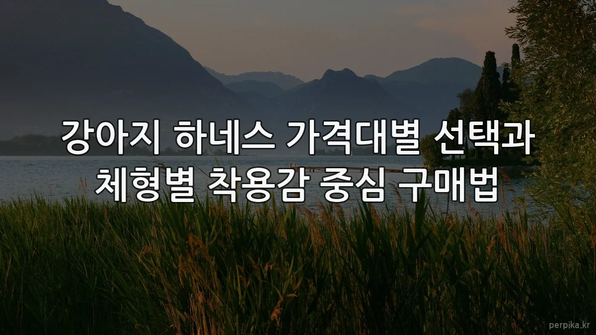 강아지 하네스 가격대별 선택과 체형별 착용감 중심 구매법