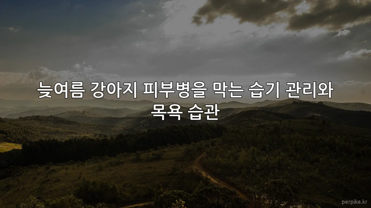 늦여름 강아지 피부병을 막는 습기 관리와 목욕 습관