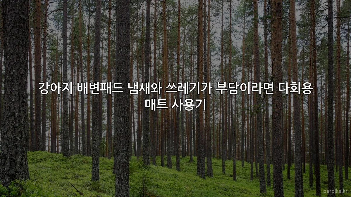 강아지 배변패드 냄새와 쓰레기가 부담이라면 다회용 매트 사용기