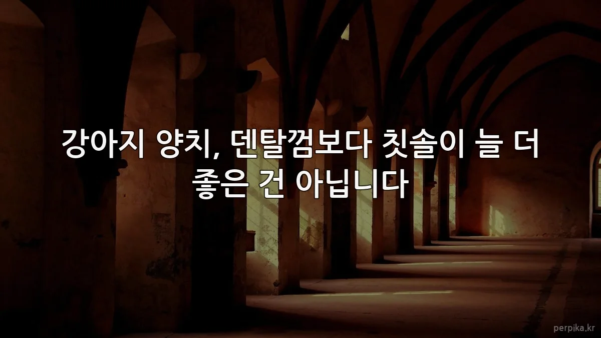 강아지 양치, 덴탈껌보다 칫솔이 늘 더 좋은 건 아닙니다