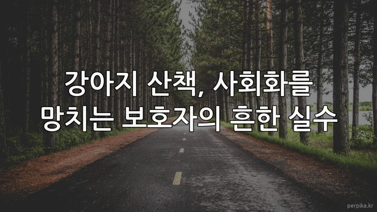 강아지 산책, 사회화를 망치는 보호자의 흔한 실수