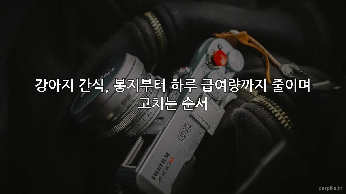 강아지 간식, 봉지부터 하루 급여량까지 줄이며 고치는 순서