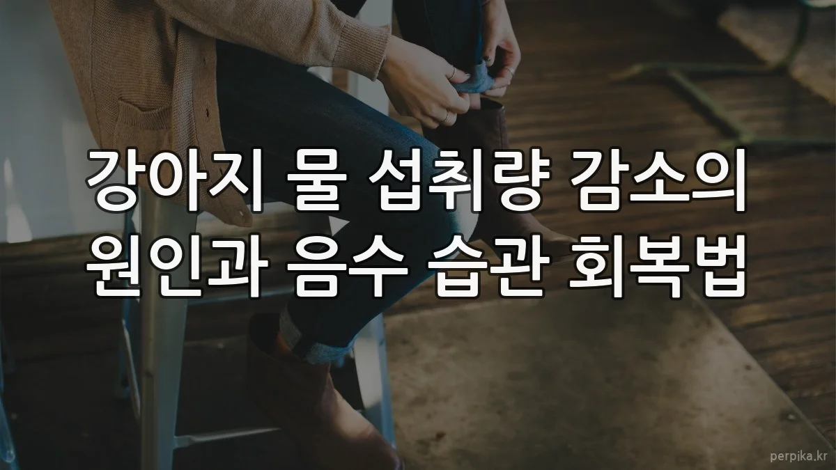 강아지 물 섭취량 감소의 원인과 음수 습관 회복법