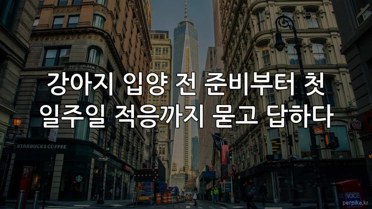 강아지 입양 전 준비부터 첫 일주일 적응까지 묻고 답하다